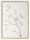 This illustration showcases a delicate branch adorned with multiple leaves. Each leaf is intricately detailed with fine lines and shading, highlighting their realistic texture and growth stages. The simplicity of the background draws attention to the natural beauty and intricacy of the branch, making it an elegant and timeless piece of botanical art.