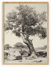 This detailed black and white drawing features a grand tree with a twisted trunk and dense foliage, showcasing its intricate natural beauty. The tree is situated in a natural landscape with rocks and other vegetation in the background, adding depth and context to the scene. The fine lines and shading highlight the texture and complexity of the tree's bark and leaves, creating a captivating and timeless piece of artwork.