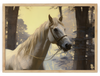 "Mystical Whisper" beautifully captures the serene presence of a majestic white horse standing in a tranquil forest. The horse's flowing mane and the delicate play of light on its body create a lifelike, almost ethereal quality. The background of tall trees, with a mix of light and shadow, enhances the mystical atmosphere, making it feel like a scene from a fairytale. The intricate details and realistic portrayal of the horse and the forest invite viewers to lose themselves in the enchanting beauty of natur