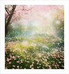 Start your day off on the right foot with Sparkly Morning. This fine art print captures the beauty of morning flowers in a peaceful forest setting. Hang it in your home for a calming and scenic touch, sure to brighten your mornings. Embrace nature and start your day with beauty and tranquility.