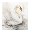 This beautiful fine art print captures the graceful excitement of a swan in the water.A perfect addition to any art collection, it brings a touch of elegance and whimsy to any room. Enhance your space with this lovely piece of nature-inspired artwork.