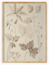 This captivating botanical artwork features a diverse collection of leaves and plants, meticulously illustrated in a monochromatic, sepia-toned style that exudes vintage charm. Each plant species is depicted with intricate details, showcasing the beauty and diversity of nature. The elegant and refined presentation makes this piece a perfect addition to any space, whether for educational purposes, artistic appreciation, or simply to bring a touch of natural beauty indoors.