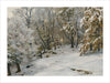 This vintage artwork depicts a serene winter forest landscape. The scene is dominated by tall, leafless trees covered in a light dusting of snow. The ground is blanketed in snow, with patches of exposed earth and rocks peeking through. The trees in the background are bathed in a soft, diffused light, suggesting either early morning or late afternoon.The overall atmosphere is tranquil and quiet, capturing the stillness and beauty of a winter day in the forest. The artist has skillfully used a muted color pa